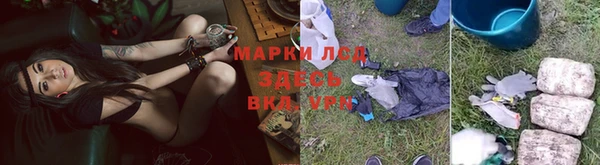 бошки Алексин