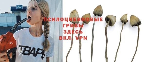 ALPHA PVP Алзамай